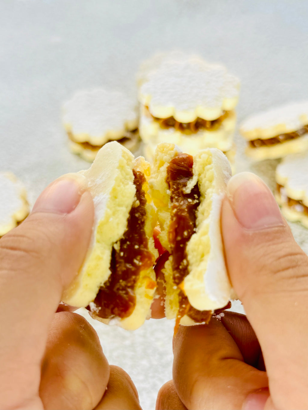 Alfajores Tradicionales Regular Size (Box x 22)